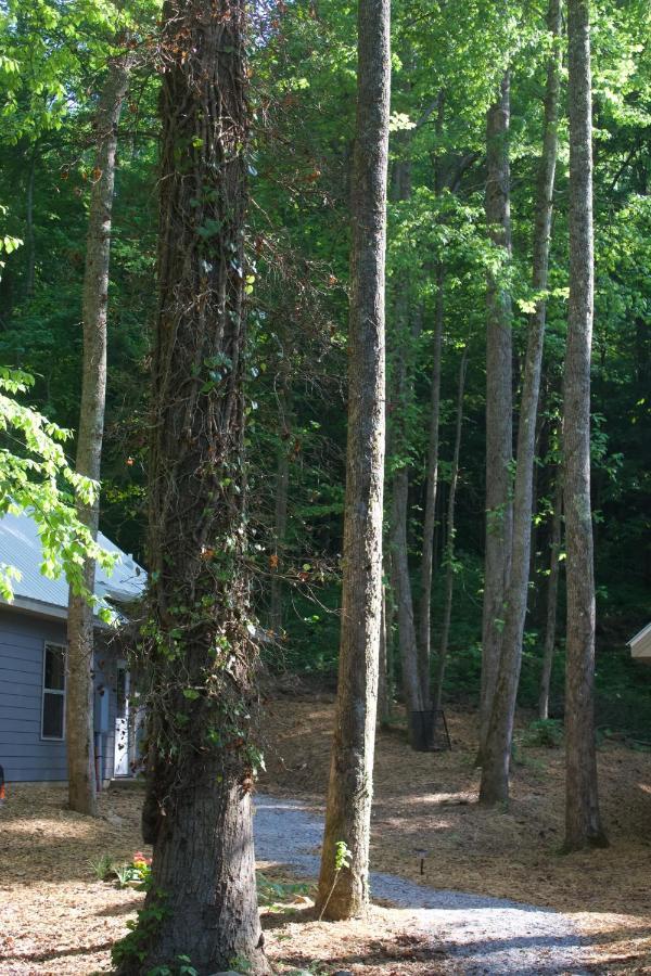 Villas At Gingershack Farms Ellijay Exteriér fotografie