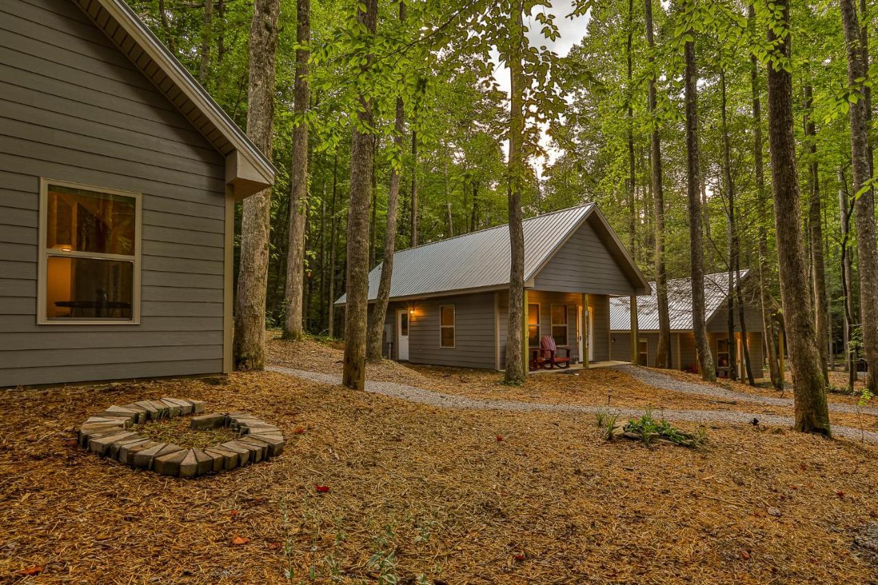 Villas At Gingershack Farms Ellijay Exteriér fotografie